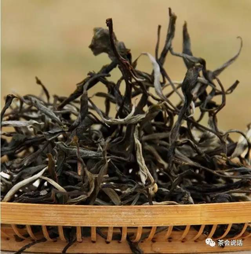 探寻普洱茶的分类:揭开它的神秘面纱