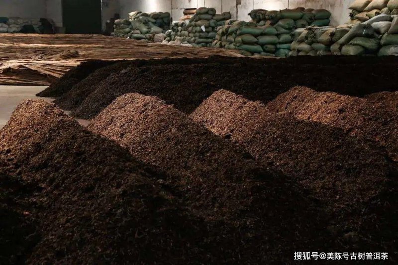 普洱茶与绿茶:探索它们的不同世界