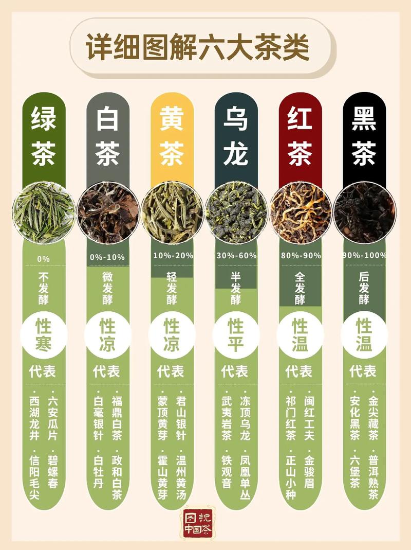 普洱茶与绿茶:一场关于茶叶的误会